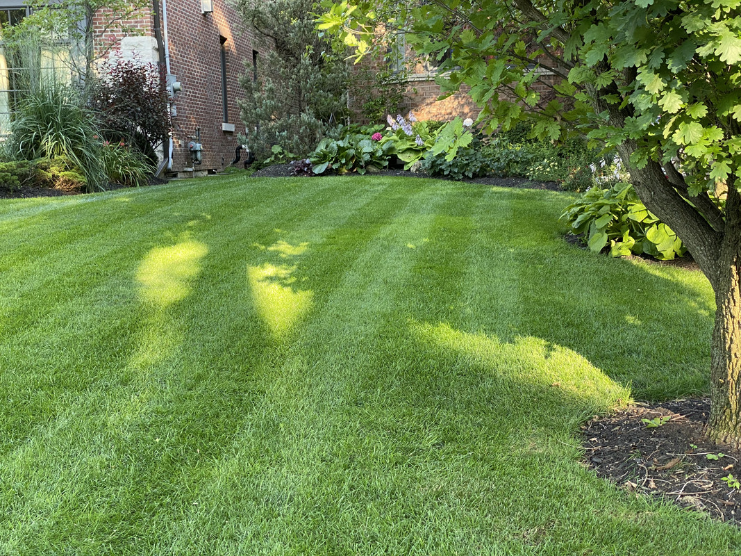 7ED7B083-E19B-4D77-942C-6460E1656104