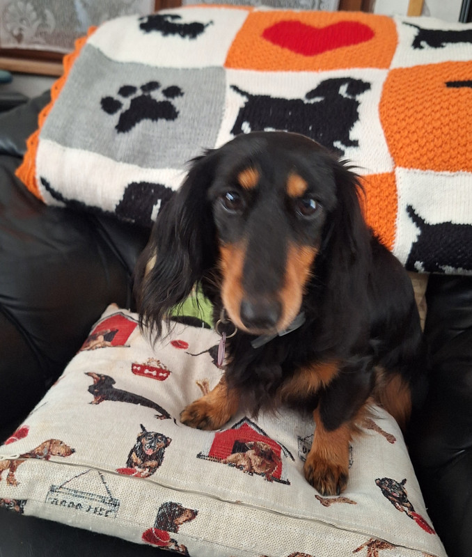 [Image: 20241023-132601.jpg]