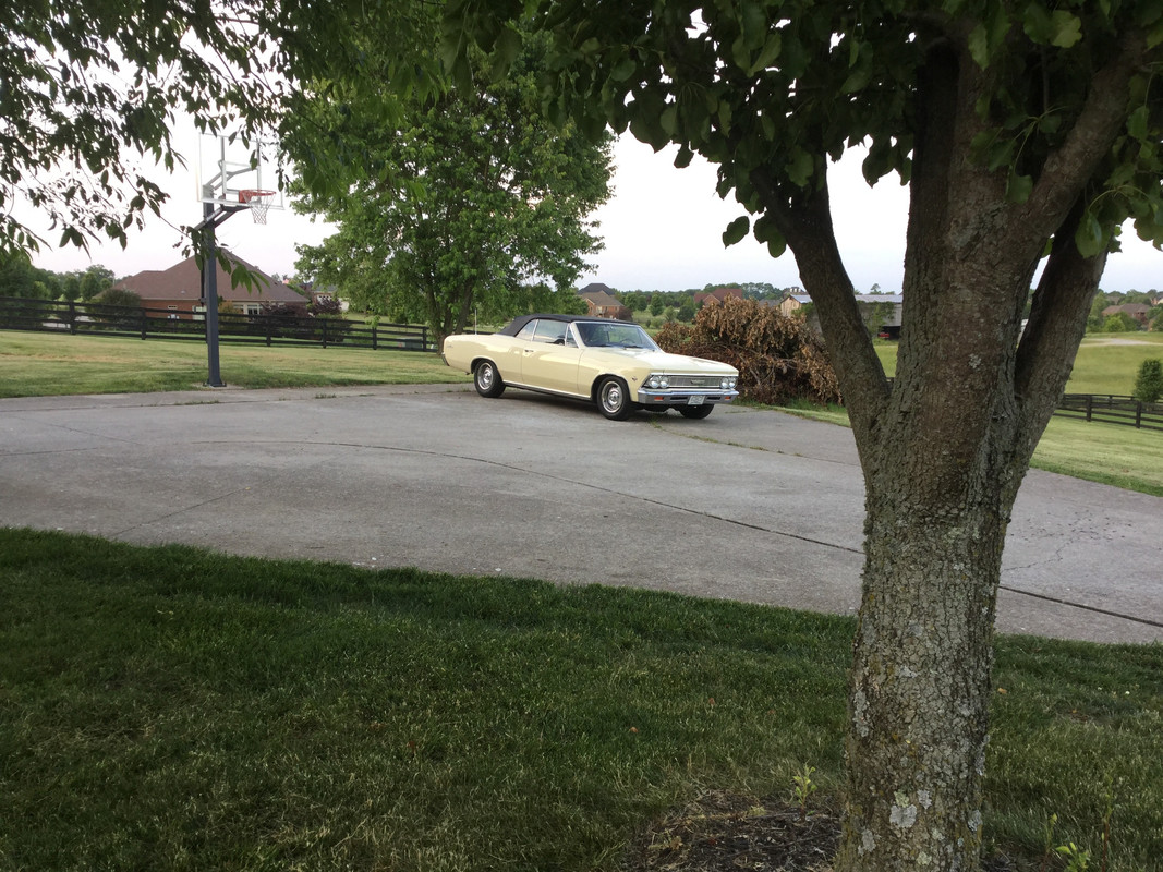 C2FA89F9-D4D7-4E63-B8D2-057F133B9C41