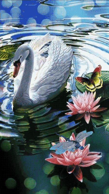 F3-E1-D045-04-D9-42-EB-94-AB-B00444-CD8-E3-C