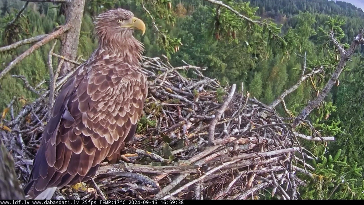 vlcsnap-2024-09-14-04h57m01s392