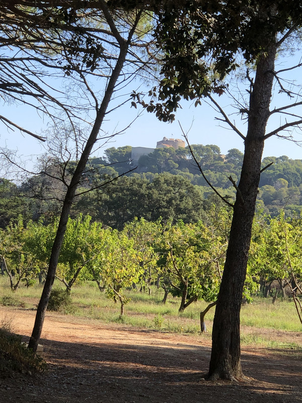 5B18869C-8A5D-41EB-872F-6A61AA43BC1D