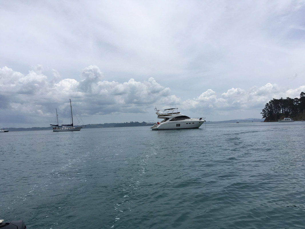 Laser in Dispute Cove