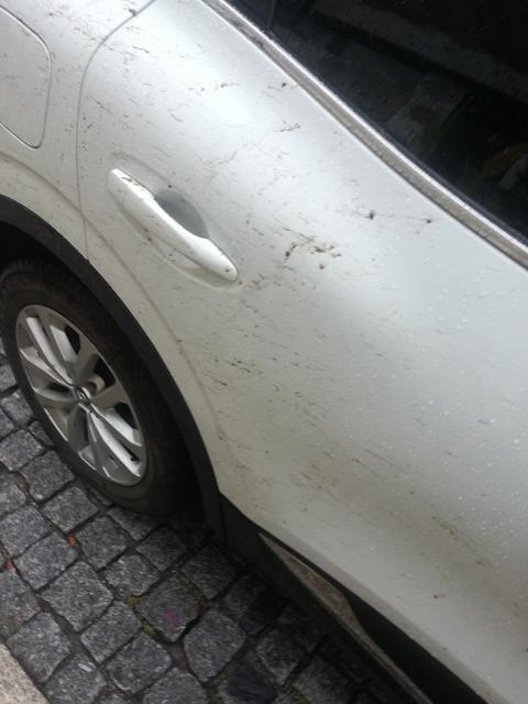 IMG-20190921-175019.jpg