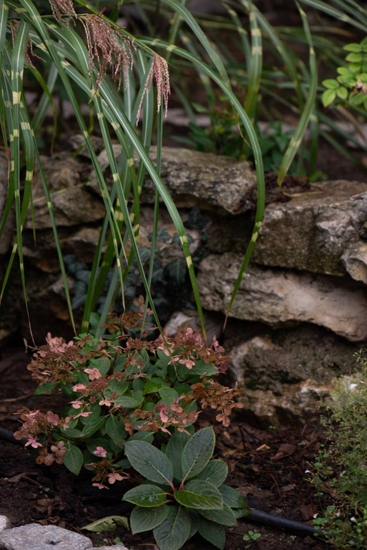 IMG-9ba6d625fd7d409f382f4e2839a48532-V