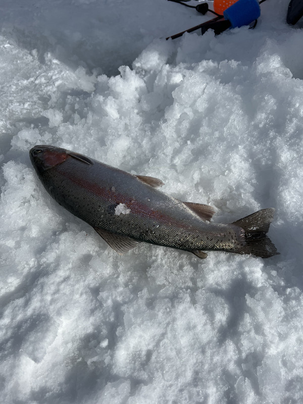 D6BD74D2-6AE6-413B-B434-0DBB55A06EC3