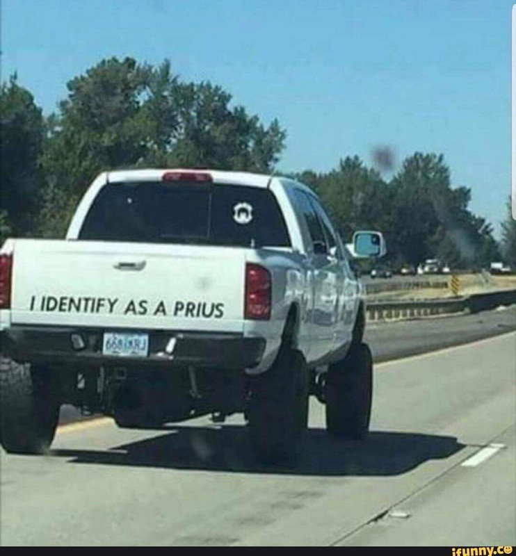 FB_IMG_1535285141006