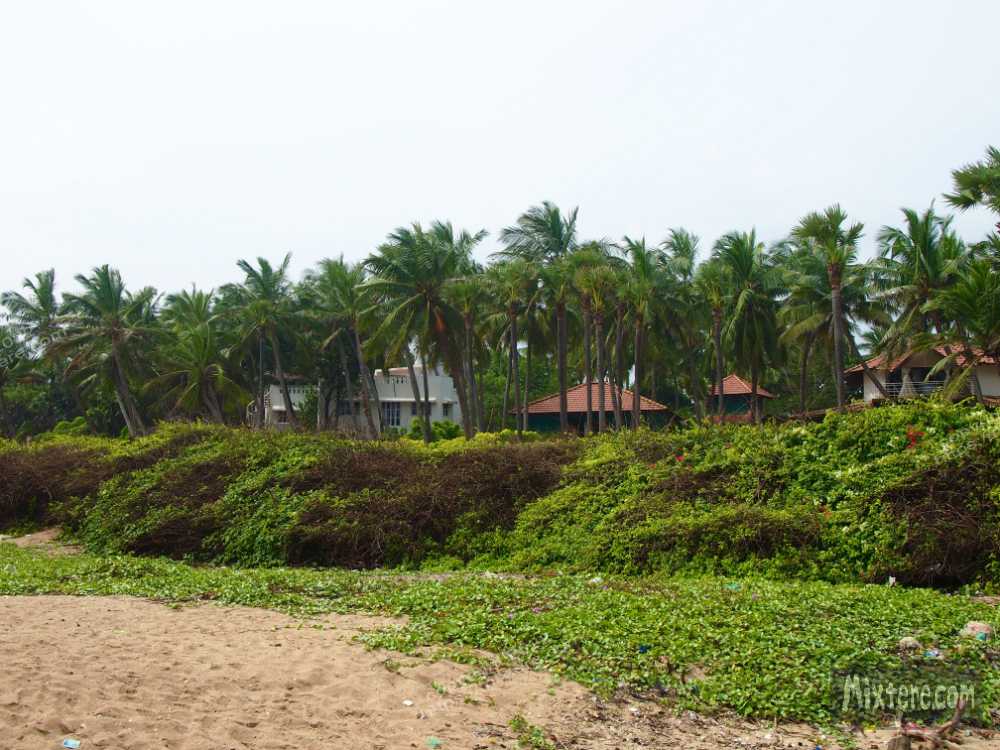 BBG&B29Pondicherry - 11