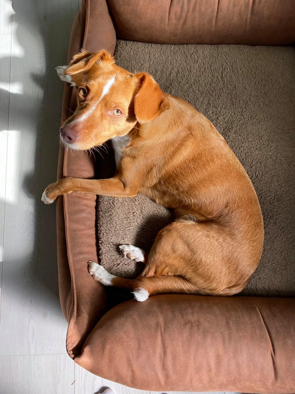 07ABD63A-0318-4185-BB17-BB17635A5B0F