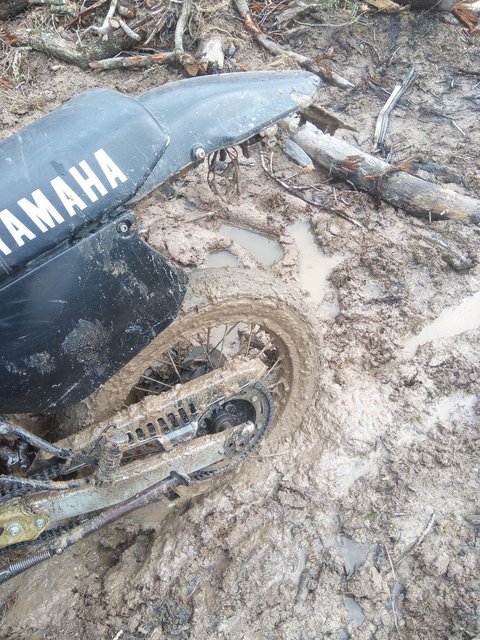 335727371_180795631375752_6385678590590355035_n