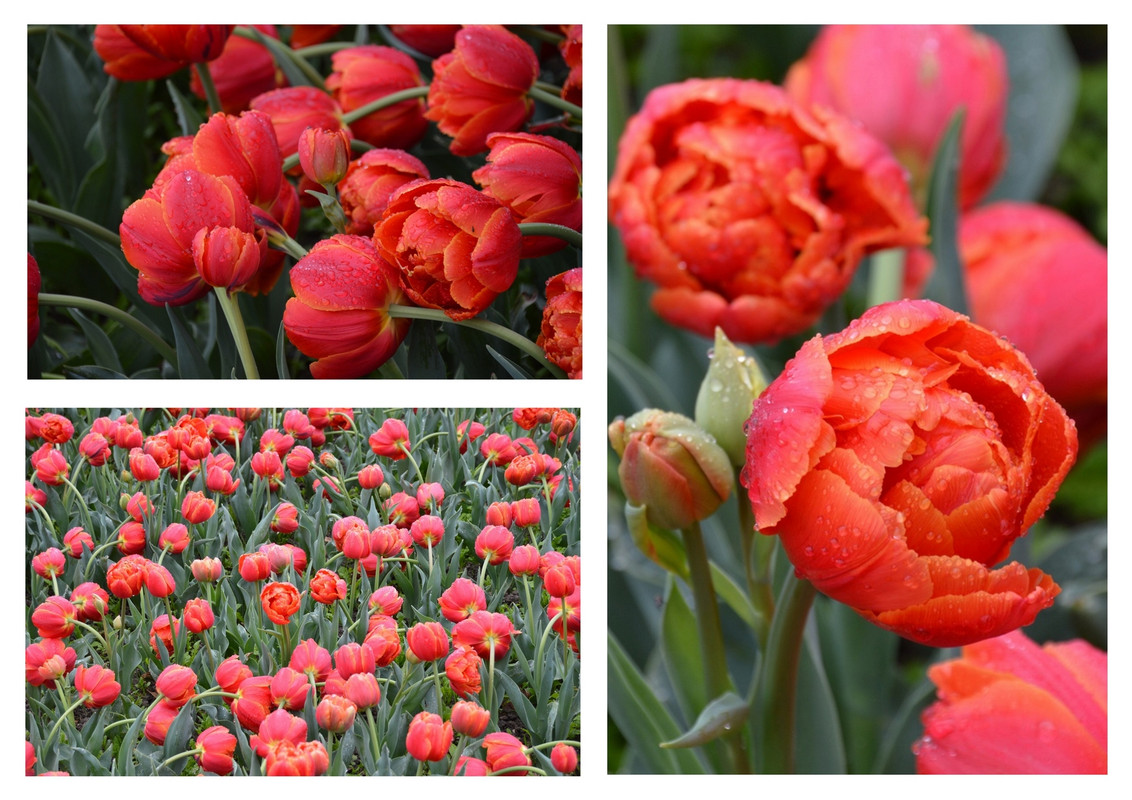 Новый коллаж.jpg 16