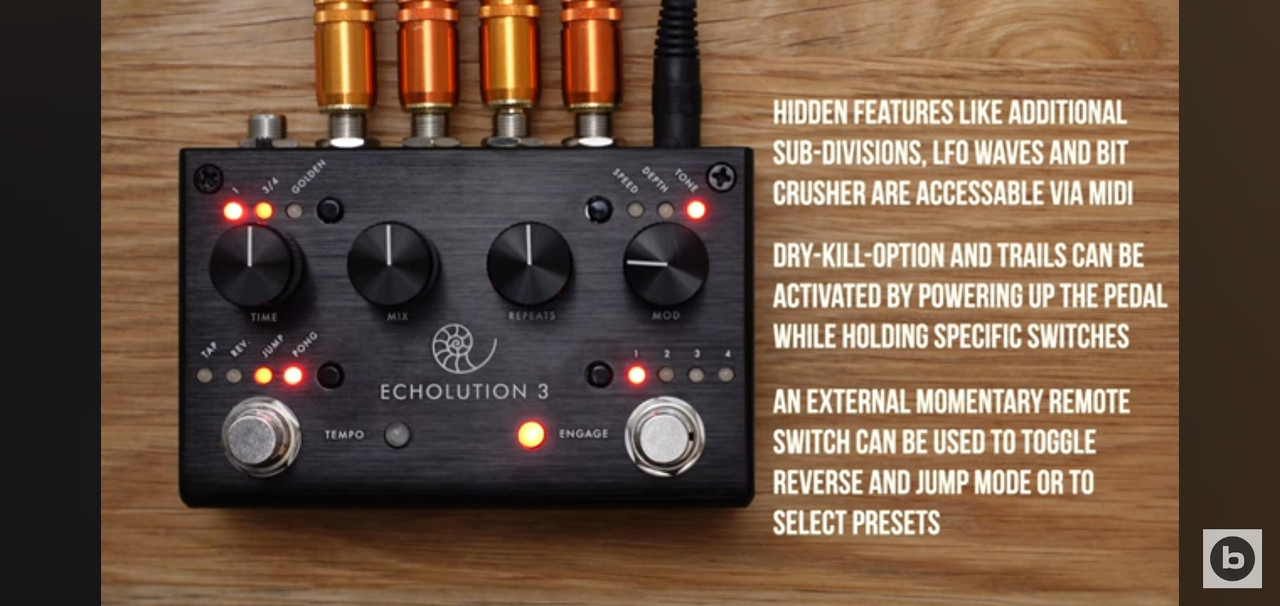 pigtronix echolution-3 pigtronix echolution-3