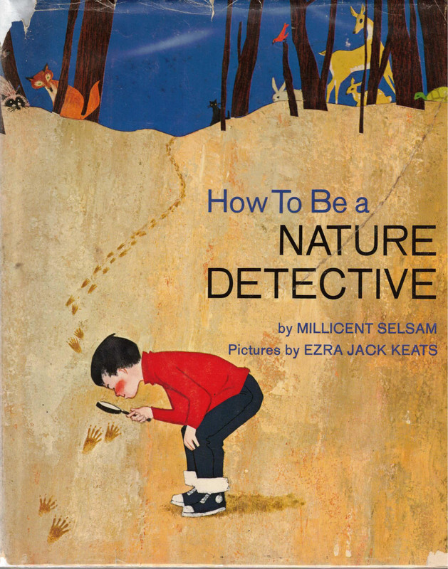 How to Be a Nature Detective