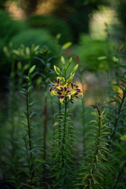 IMG-d602fb885f10d00ca0228e5472ed5d12-V