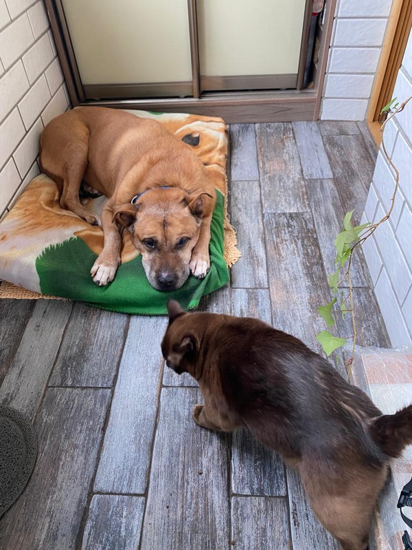 61AA6E5E-59F7-40EA-A46A-945DA874FFC7