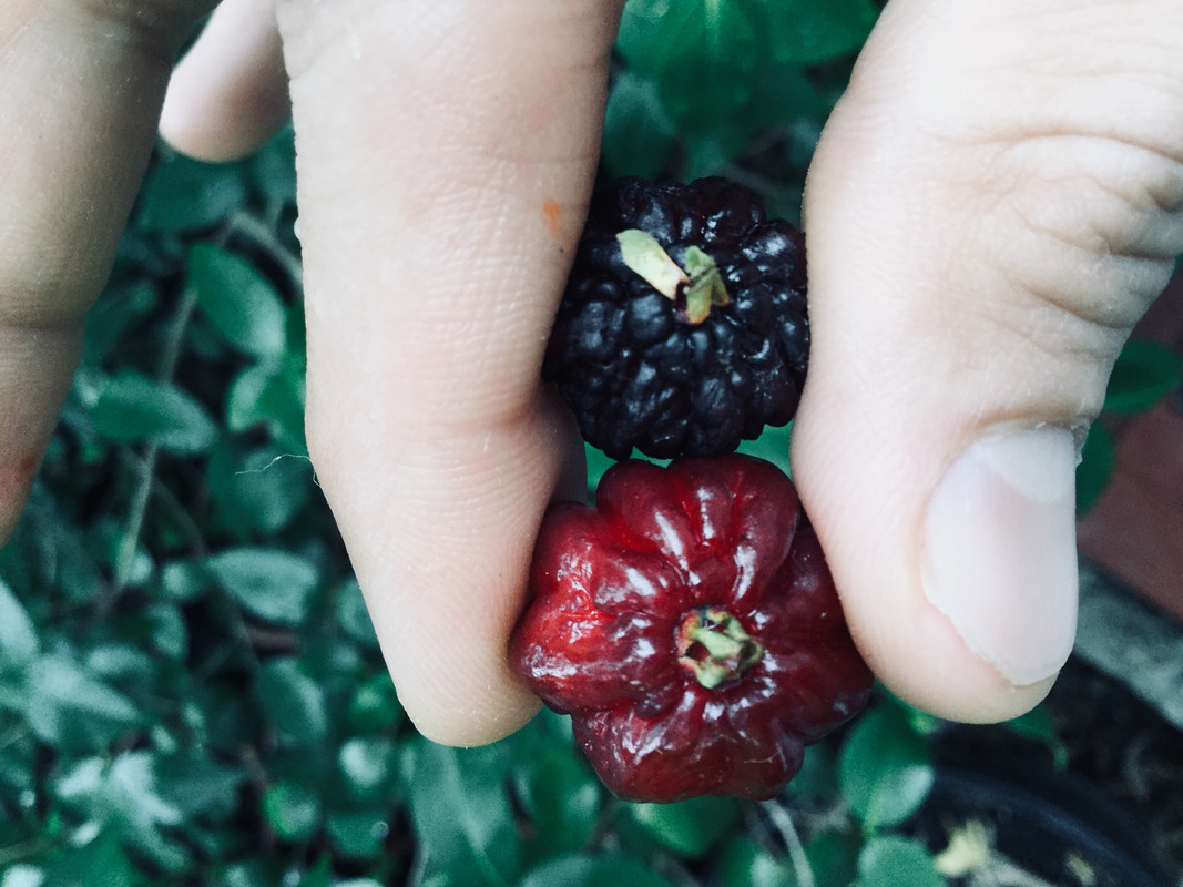 C8BA75E3-DFDF-4441-AB0D-E1E7C5666A5D