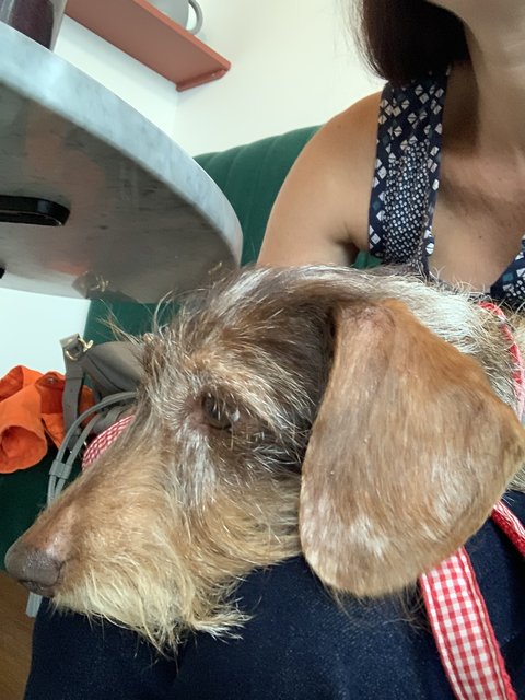 [Image: 9-A9-DBBEB-2531-44-EF-9-F7-F-5-F163-CC7713-A.jpg]