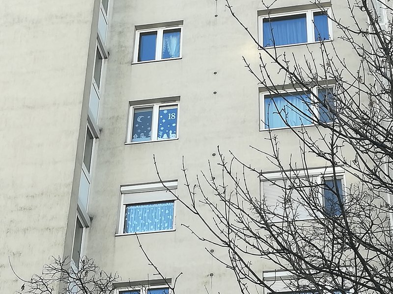 Kép