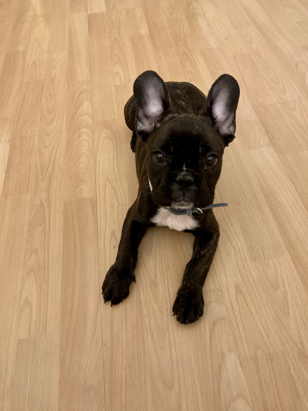 19934265-33C1-417E-9493-F4D0266B06AA