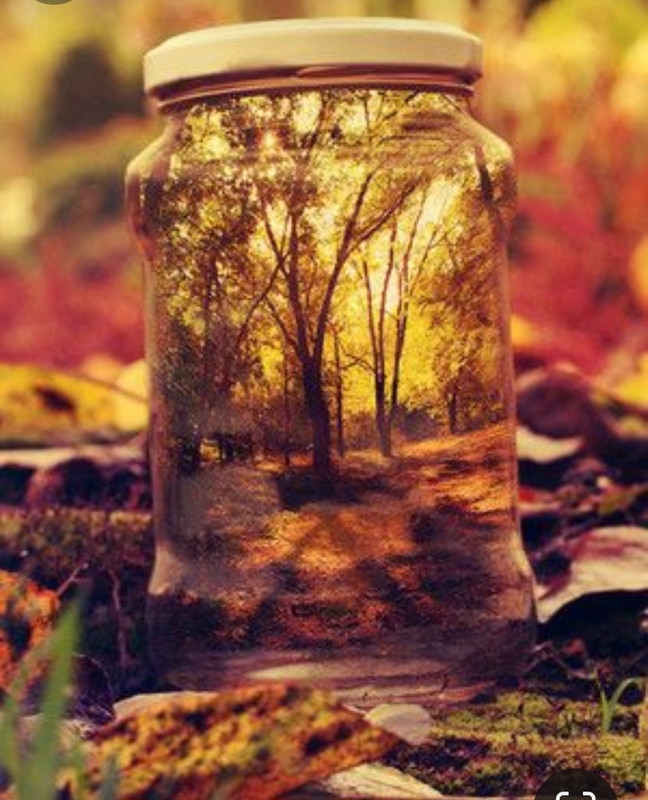 Screenshot_20231128_001718_Pinterest