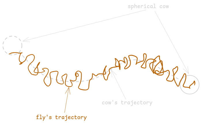 a-fly-trajectory-sketch