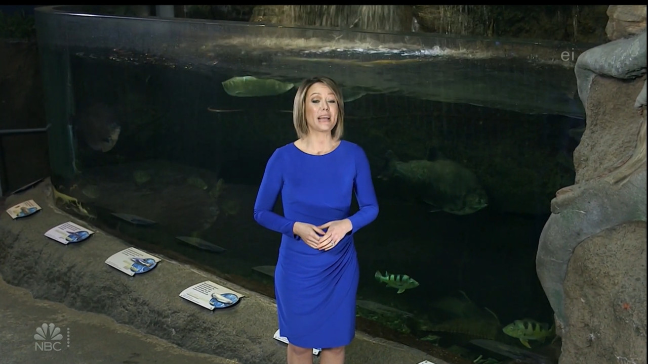 11.07 - 15.00.00 - Earth Odyssey With Dylan Dreyer. The world's smart....ts_snapshot_00.14.52.887