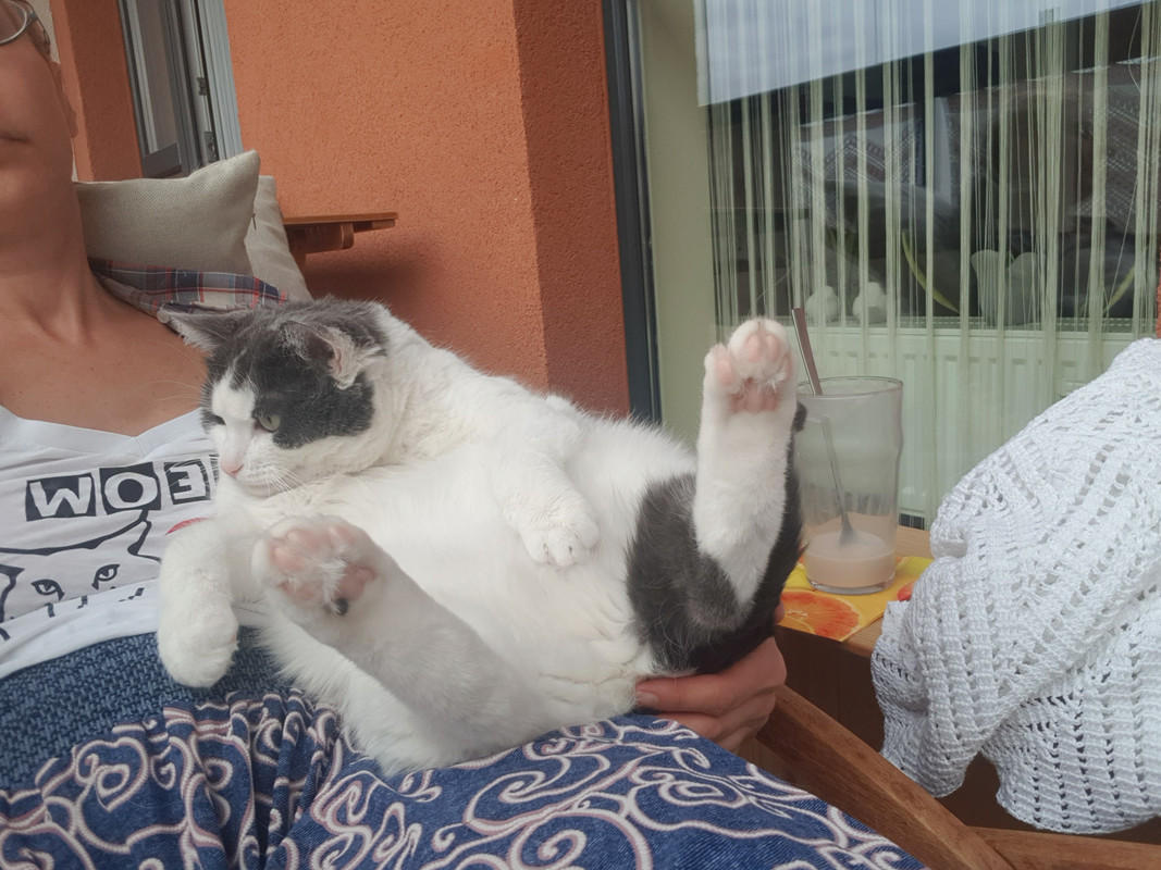 20190526-115156.jpg