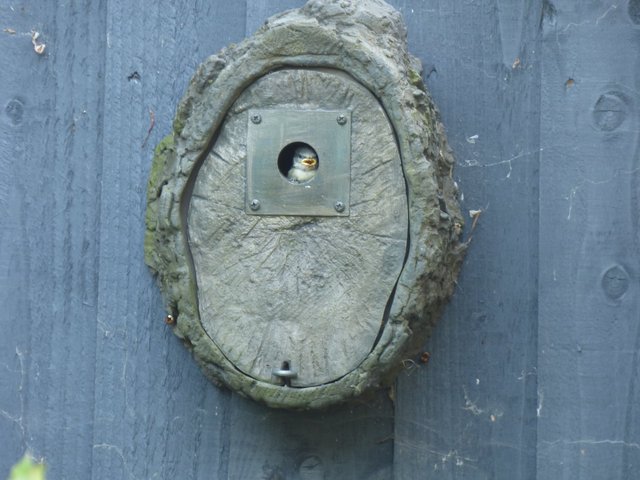 ACF617EE-2105-4492-ACED-62B94B730C67