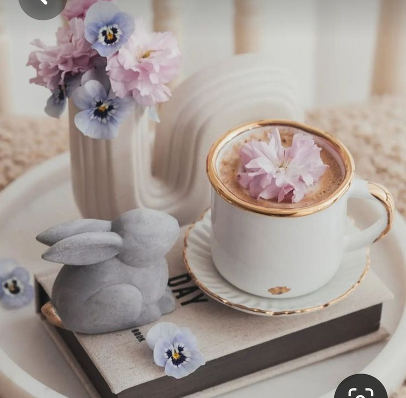 Screenshot_20230316_235710_Pinterest