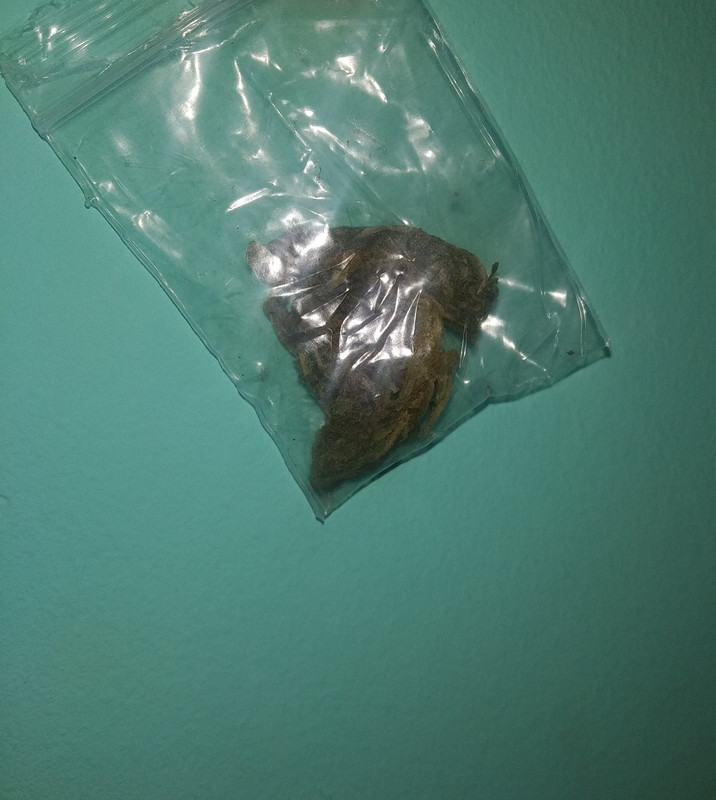 IMG-20201227-000654-2.jpg