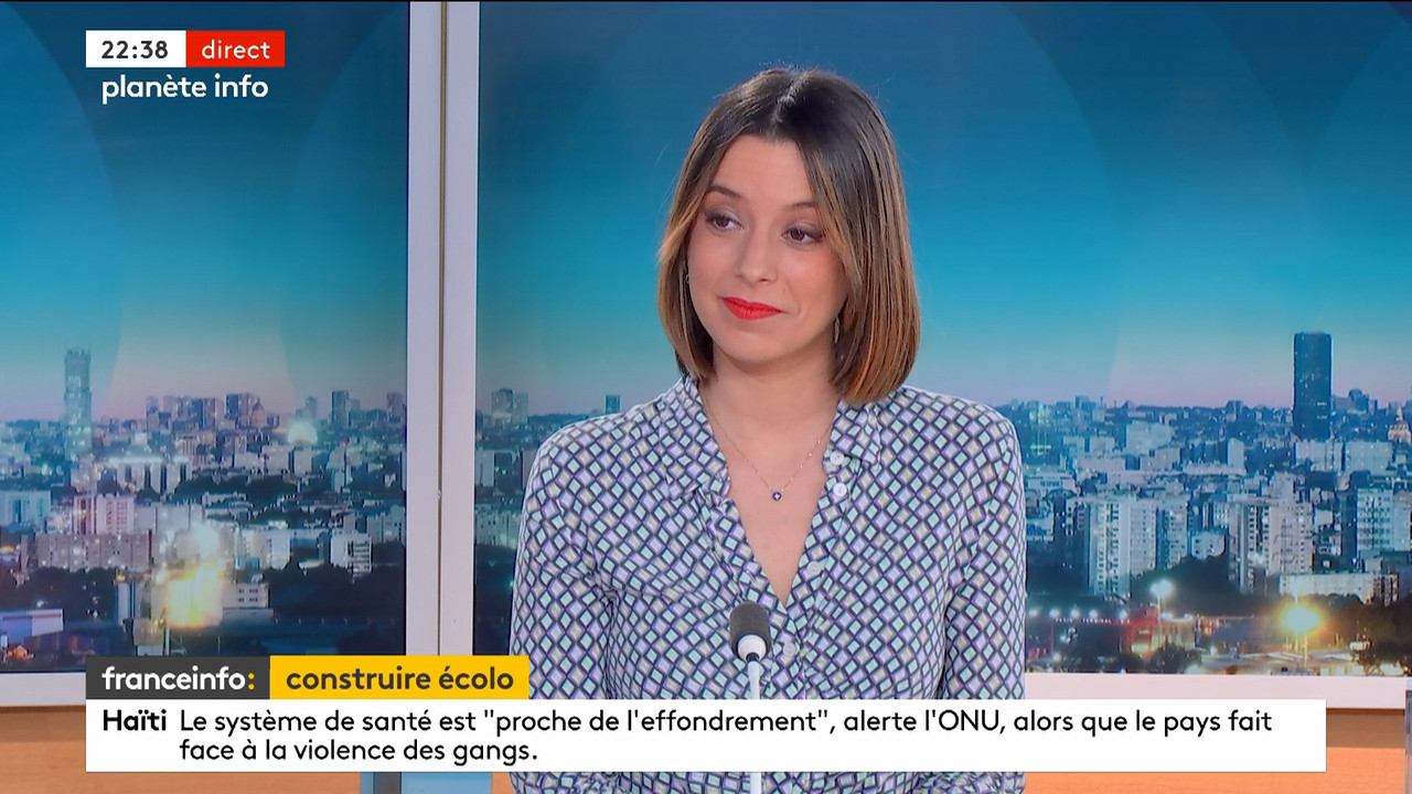 Planète info (Franceinfo)_2024_03_07_20_53_89.ts_snapshot_00.45.49.217