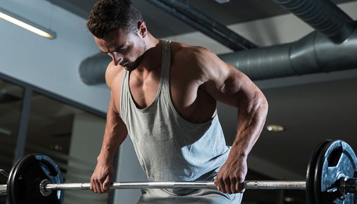 Workouts For Body Recomposition 