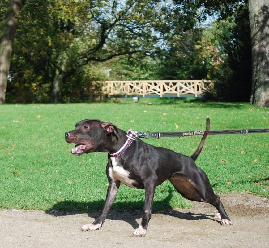 B4767E3F-6DDA-4D1F-A288-B5CB54B0A914