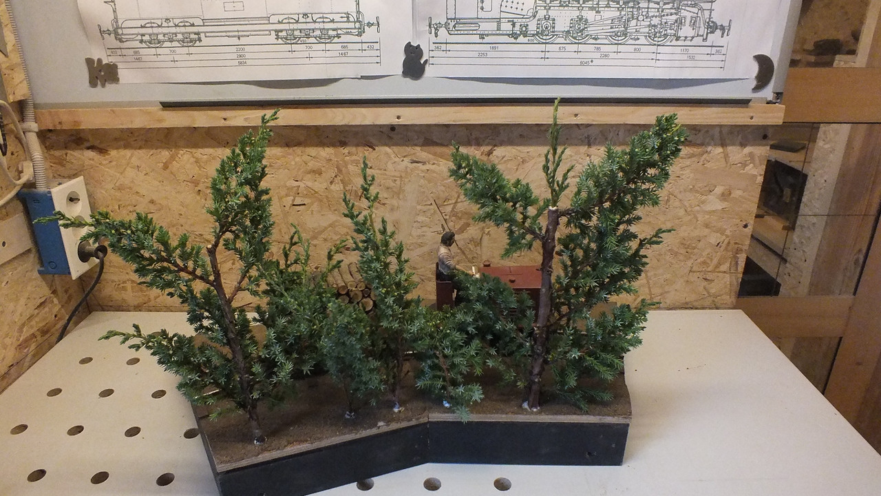 Gehölzrand für Module (25)