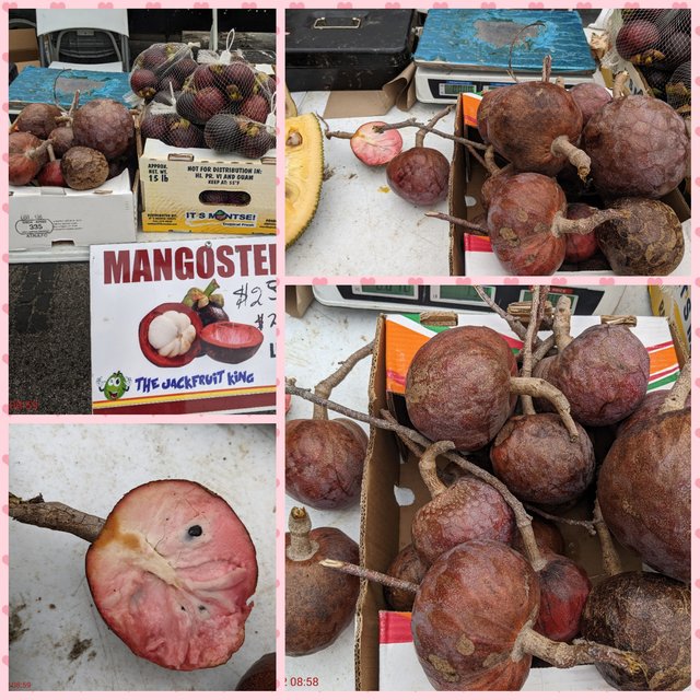 [Image: Photo-Grid-1653229940645.jpg]