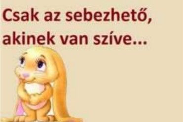 https://i.postimg.cc/prxTmj73/csak-az-sebezheto.jpg