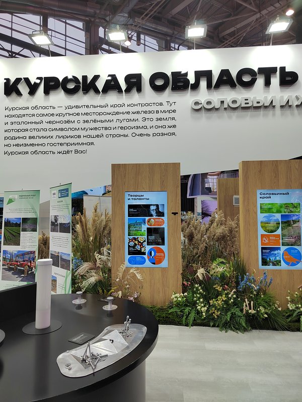 https://i.postimg.cc/prxkYmmq/038-IMG-20240126-104139.jpg