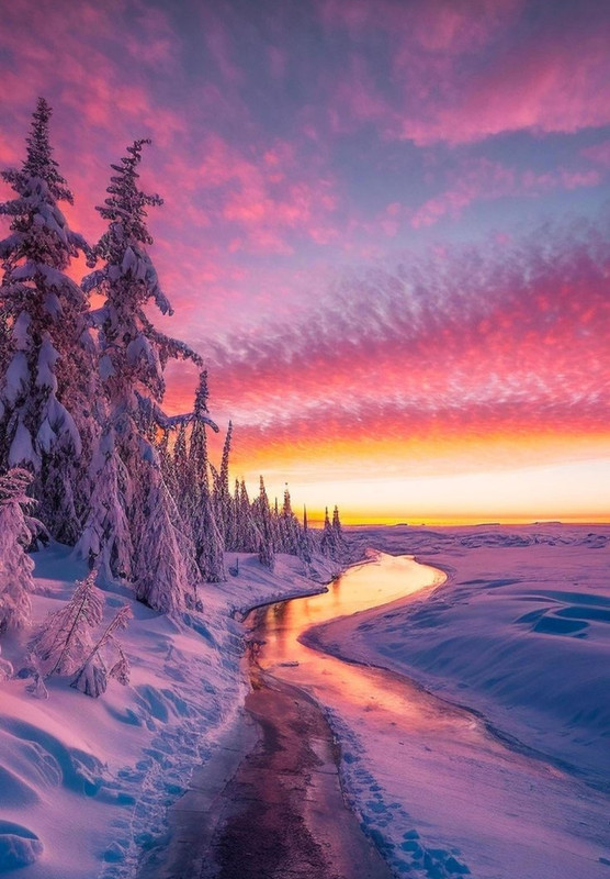 Screenshot_20240114_224408_Pinterest