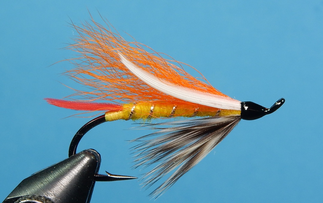 Orange-Carey-1080.jpg