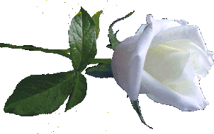 0j2jt2oupae.gif