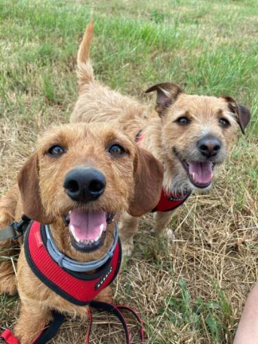 [Image: c8c33b26907111dd5de15b89bfb12935.jpg]