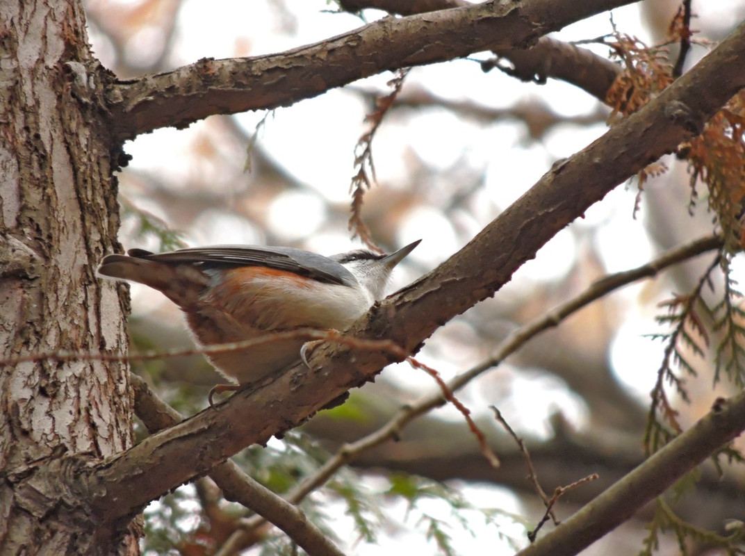 dY17NhN5nPzThknoZrJweA5513jXLTTv9540aKxbwPrPKKMDsvIJBg4OpZoIEJhK1i9Im9TjR1tFQKSfp-Iu1xFE