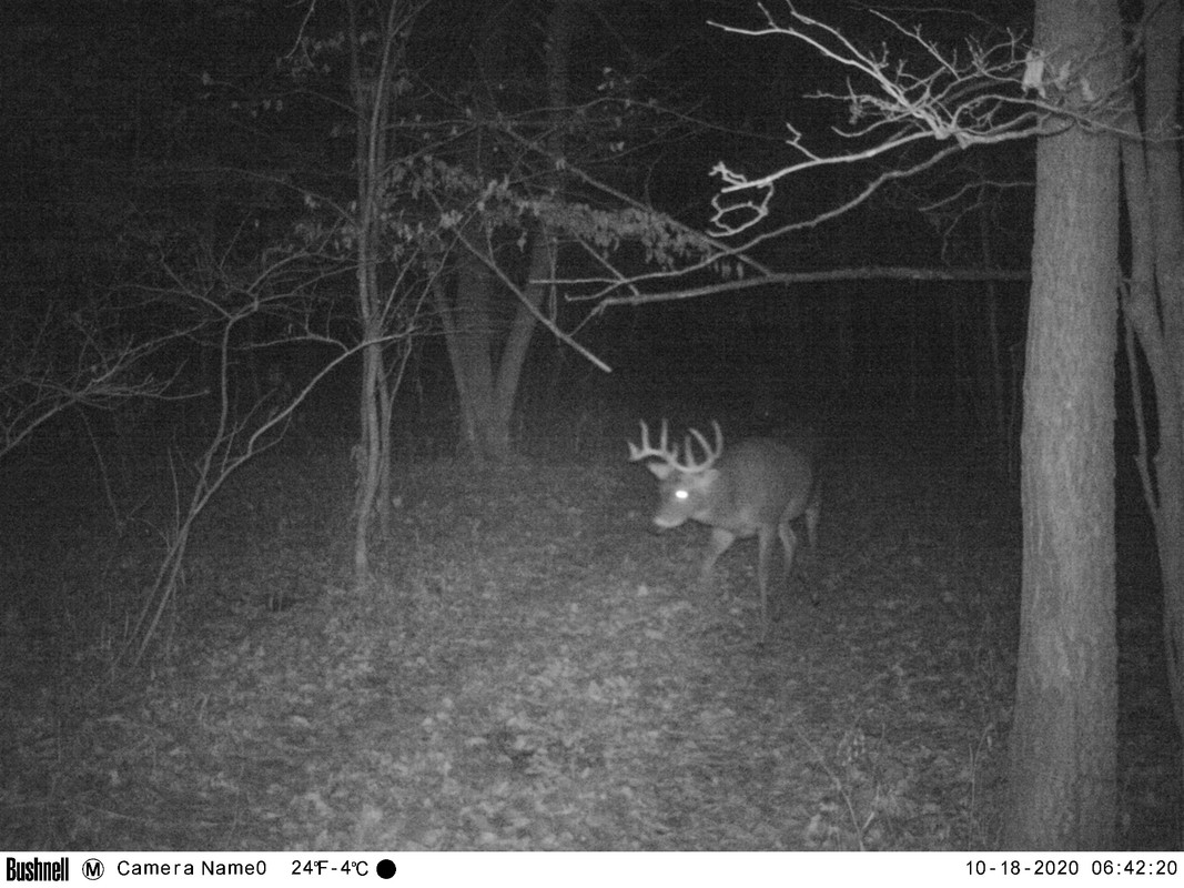 8B2ABBB5-7CEA-4E44-8B3A-B7D0A04197D8