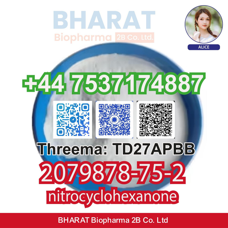 2-(2-Chlorophenyl)-2-nitrocyclohexanone CAS 2079878-75-2