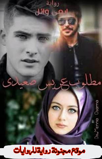 رواية مطلوب عريس صعيدي pdf