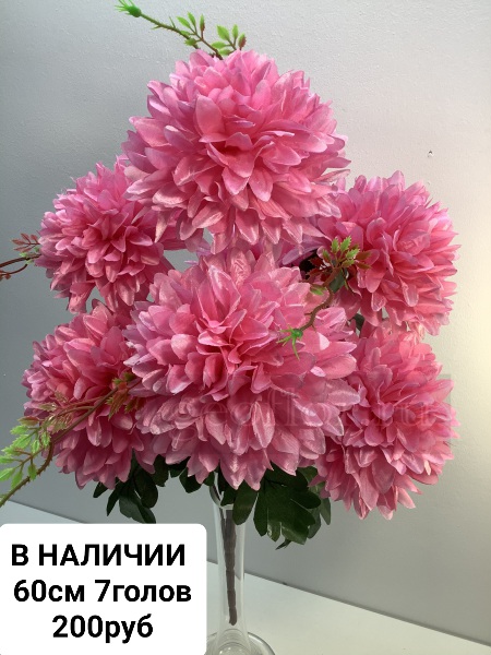https://i.postimg.cc/prz42V23/25022023175611.jpg