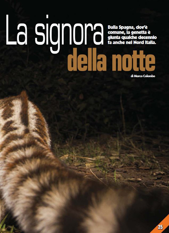 Foc Wil - Giu 2023 (6)