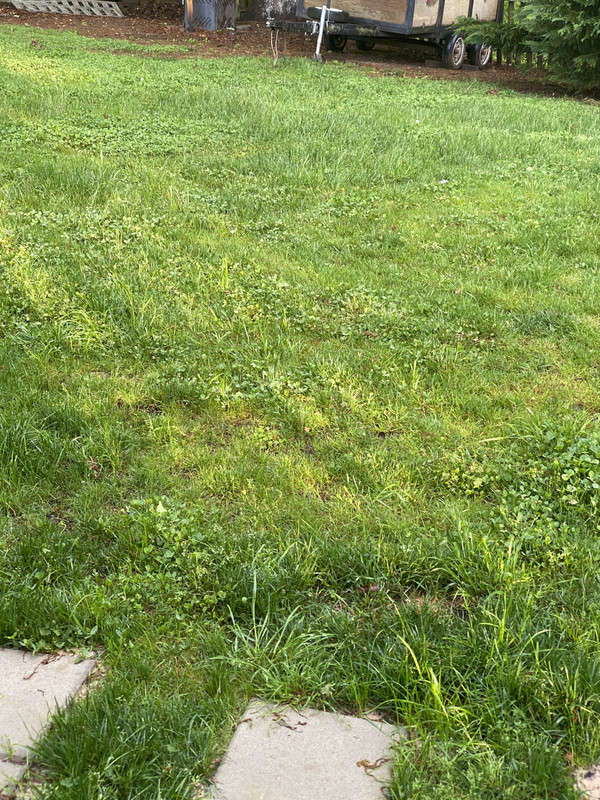 509EB145-184A-49D4-8C53-69036BBD87BF