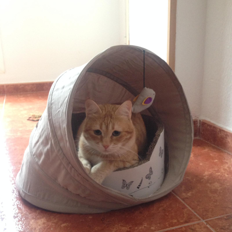 0b9d5531-d317-43c5-950c-af870818296c