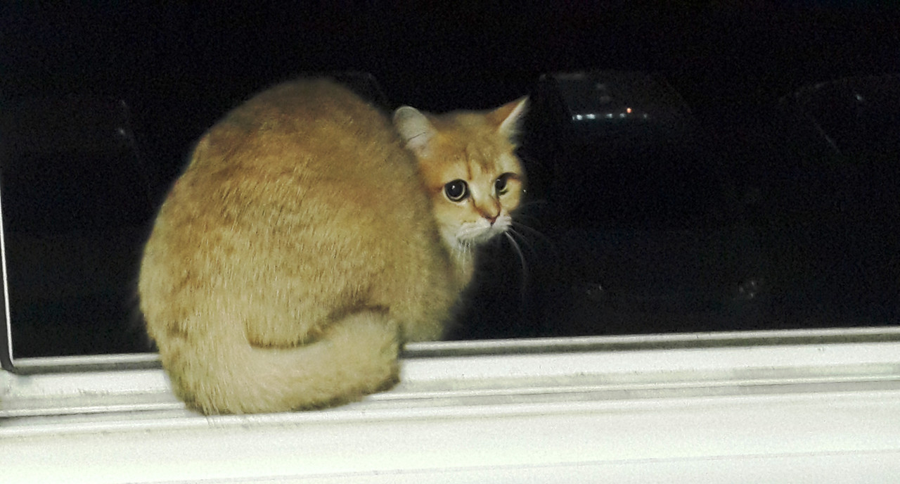 Я ещё маленькая